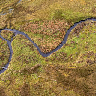 Habitat expansion 