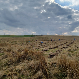 Biodiversity uplift