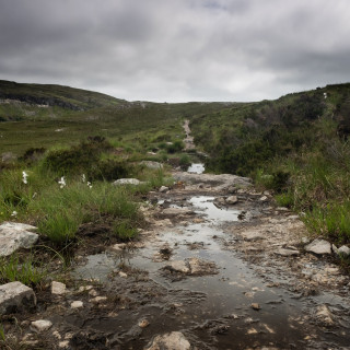 Drought resilience